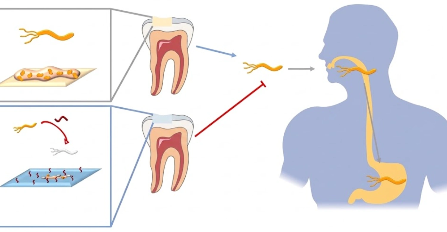 Helicobacter pylori Infection and Oral Health1
